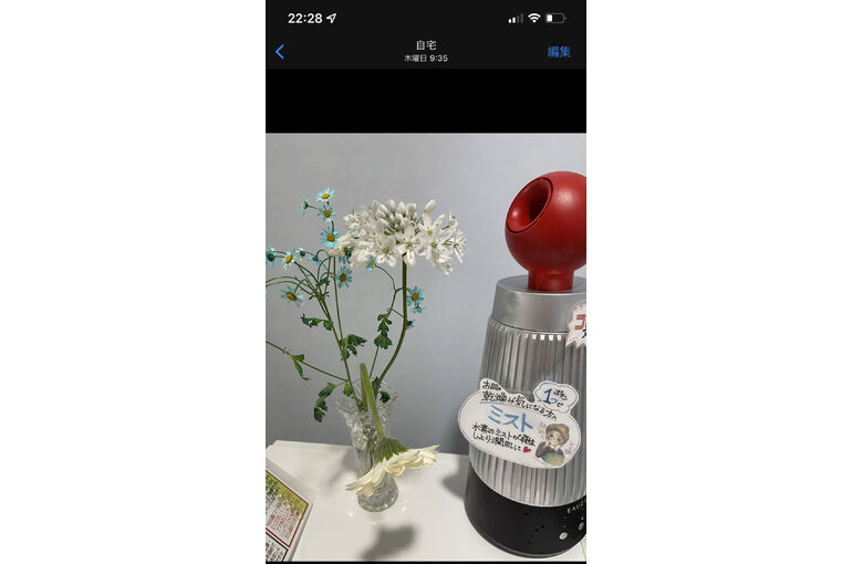 生花