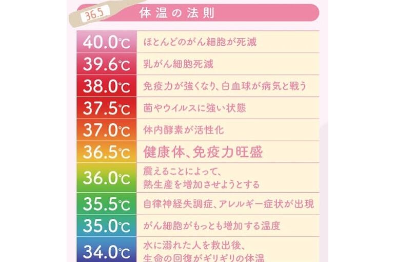 体温の法則