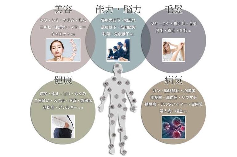 水素の効果
